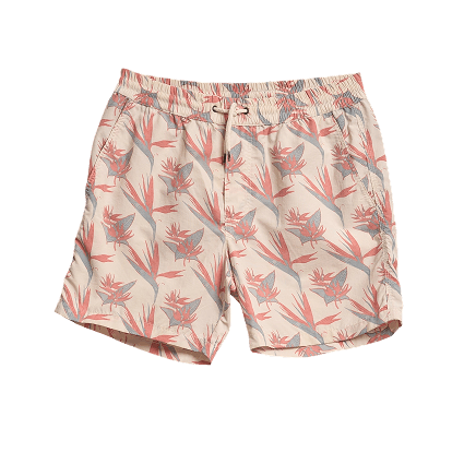 Swimwear